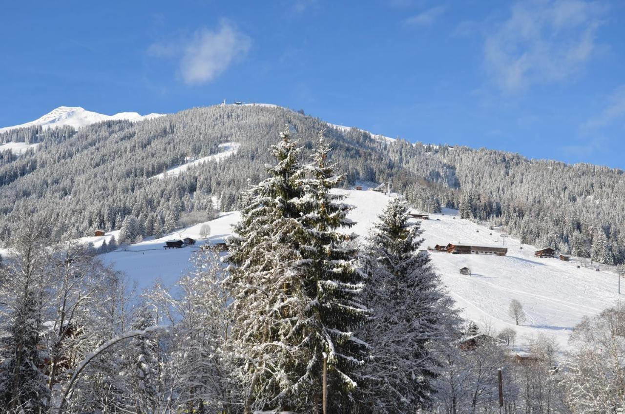 Apartamento Haus Am Sunnfeld Alpbach Exterior foto